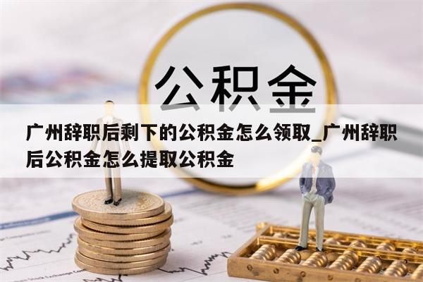 广州在职公积金一次性取出_广州公积金一次性提取
